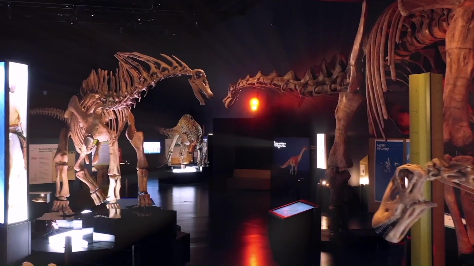 Meet Patagotitan, the largest dinosaur ever found.